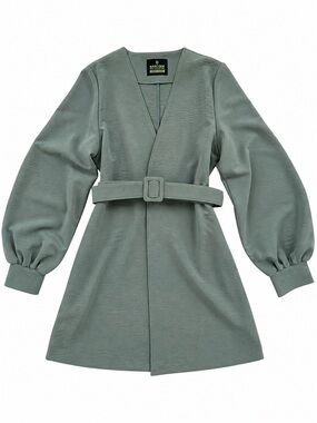Barcode Belted Mini Dress Soft Eucalyptus Green Dusty Teal Small